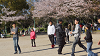 hana26 (263)_thumb.png
